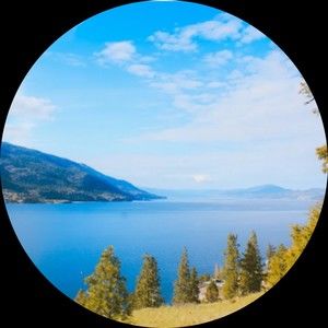 Meet your Posher, Drew